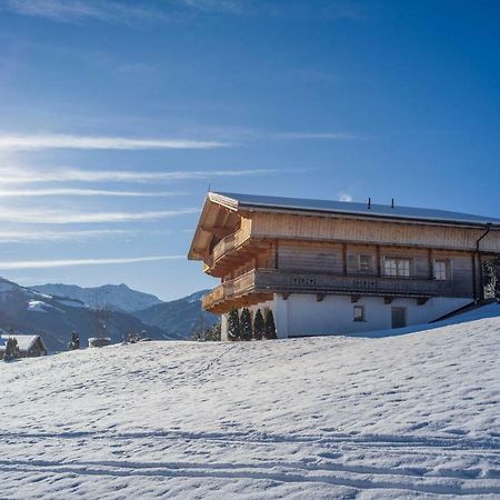 Chalet Apartment Obermanzl 布里克森谷地霍普夫加尔滕 外观 照片
