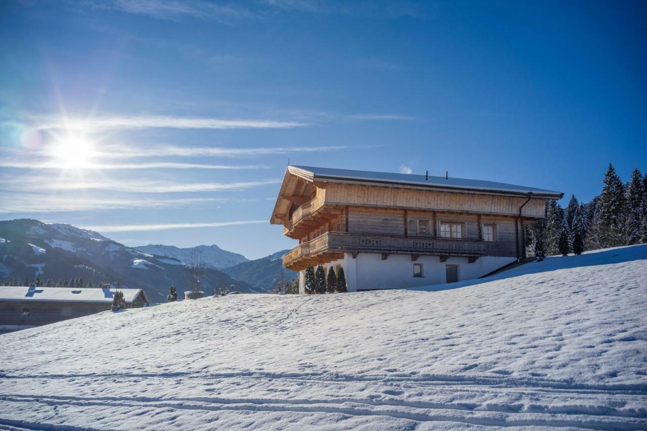 Chalet Apartment Obermanzl 布里克森谷地霍普夫加尔滕 外观 照片